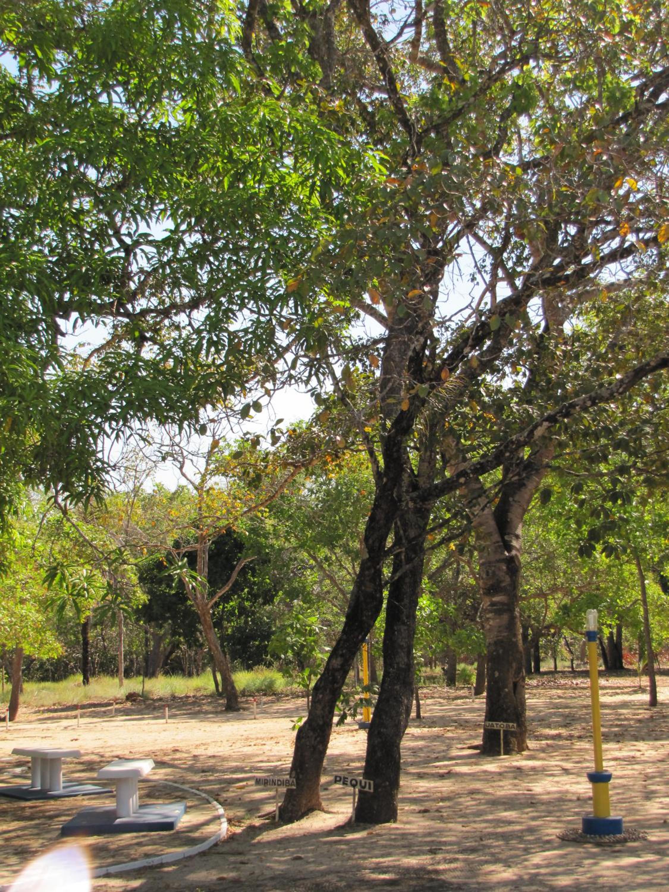 Hotel Fazenda Arara Azul