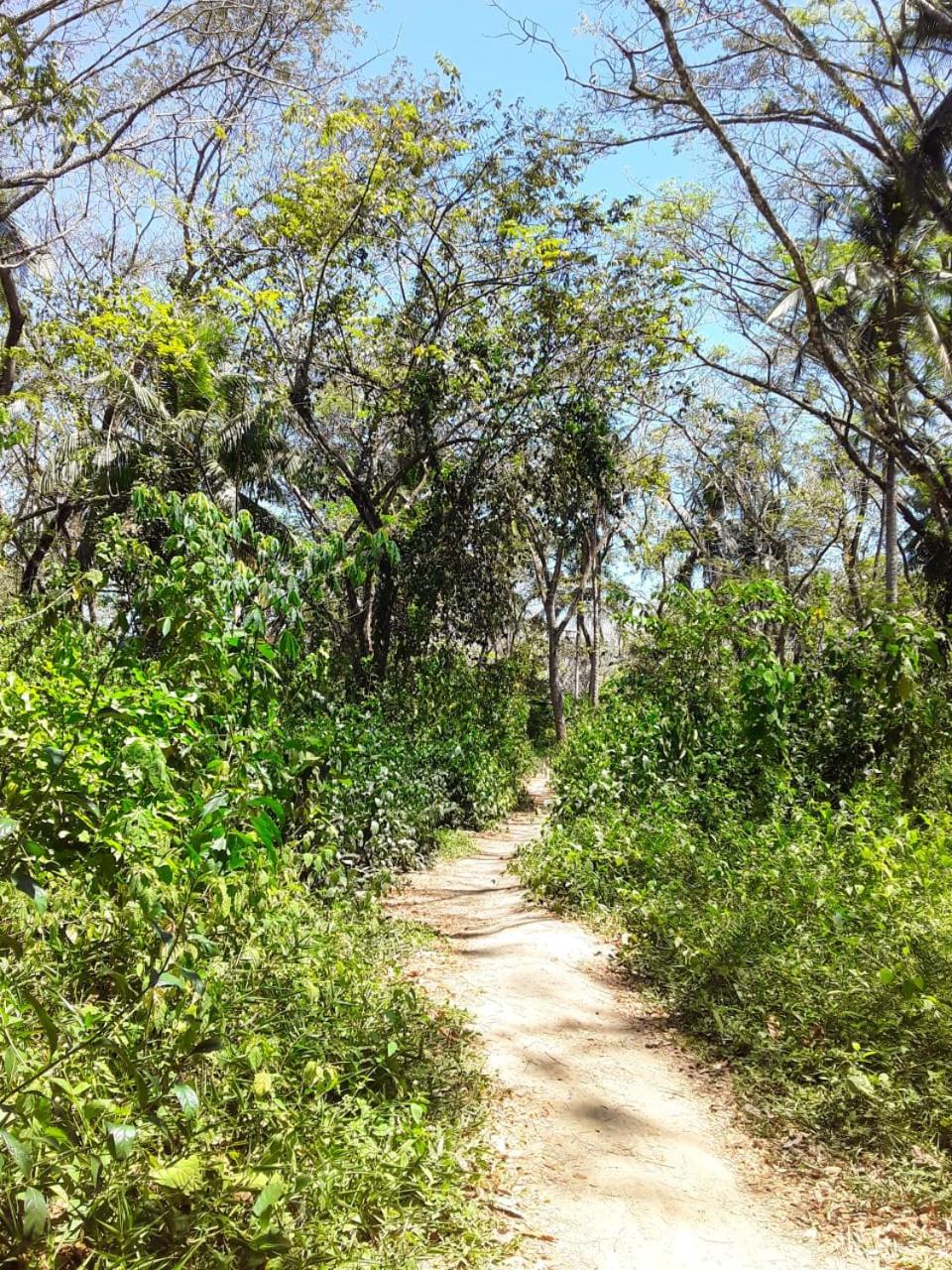 Photo 41