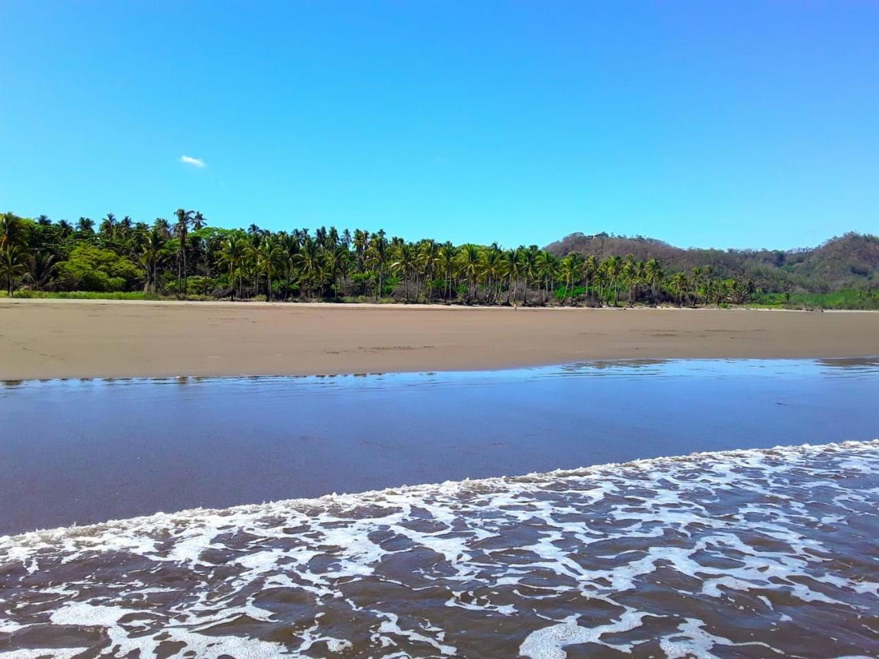Photo 40