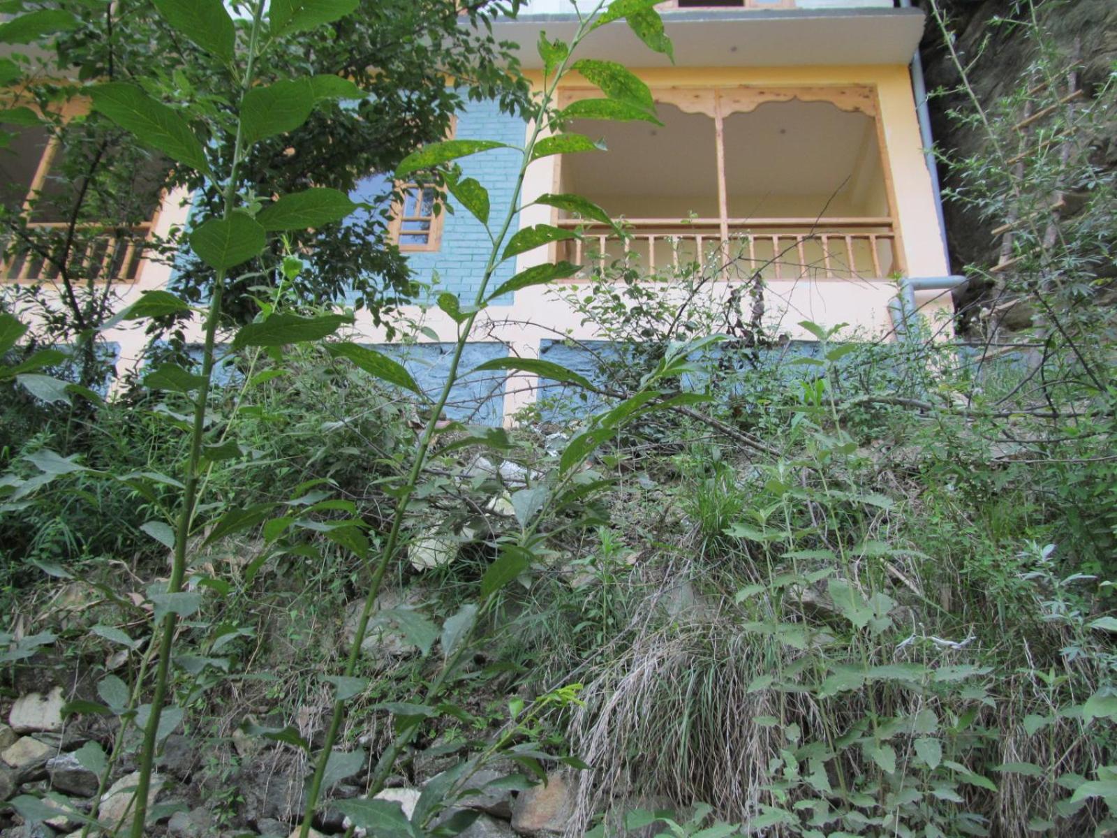 Photo 23