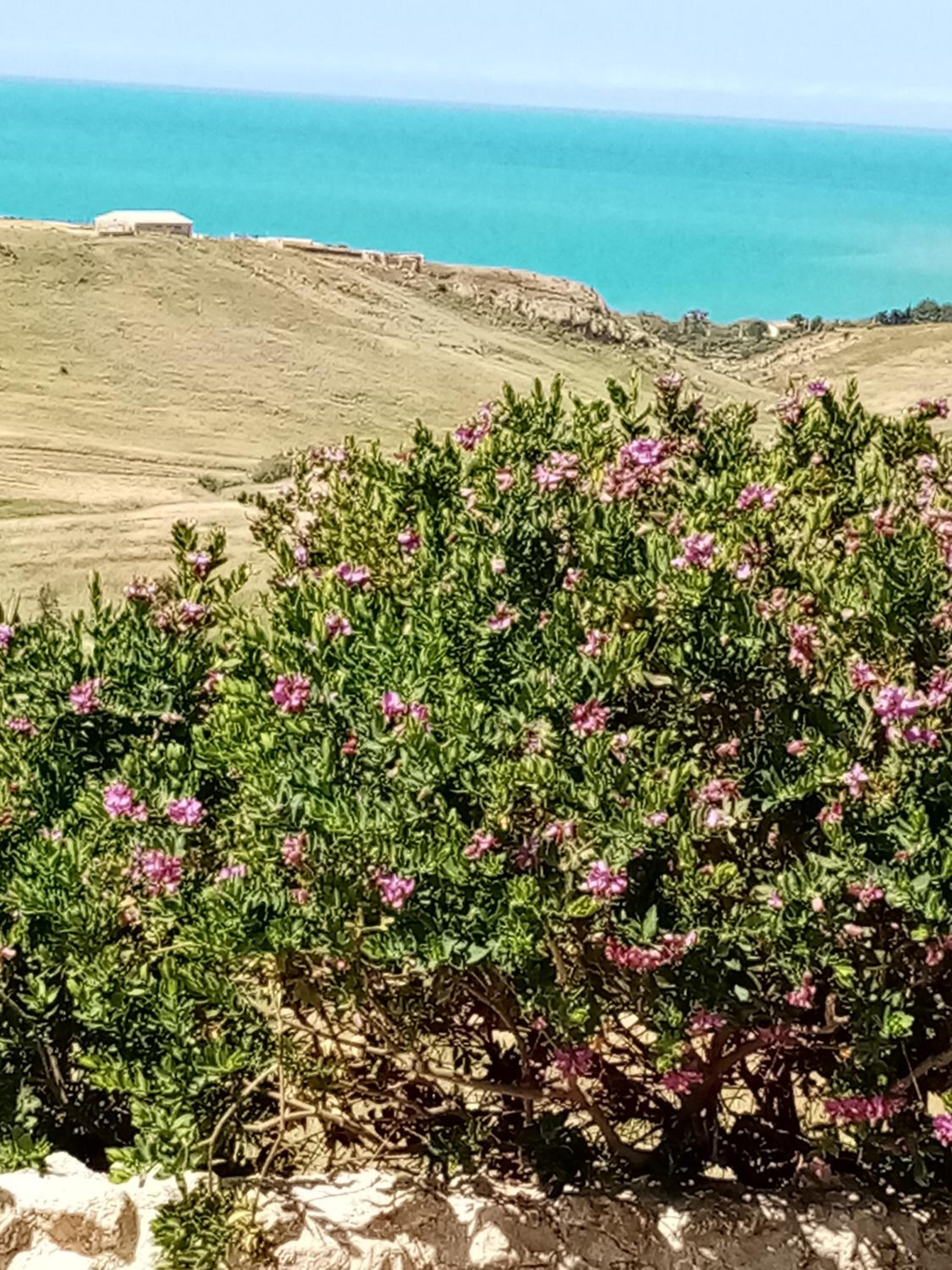 La valle degli dei