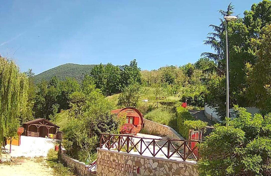 Photo 16