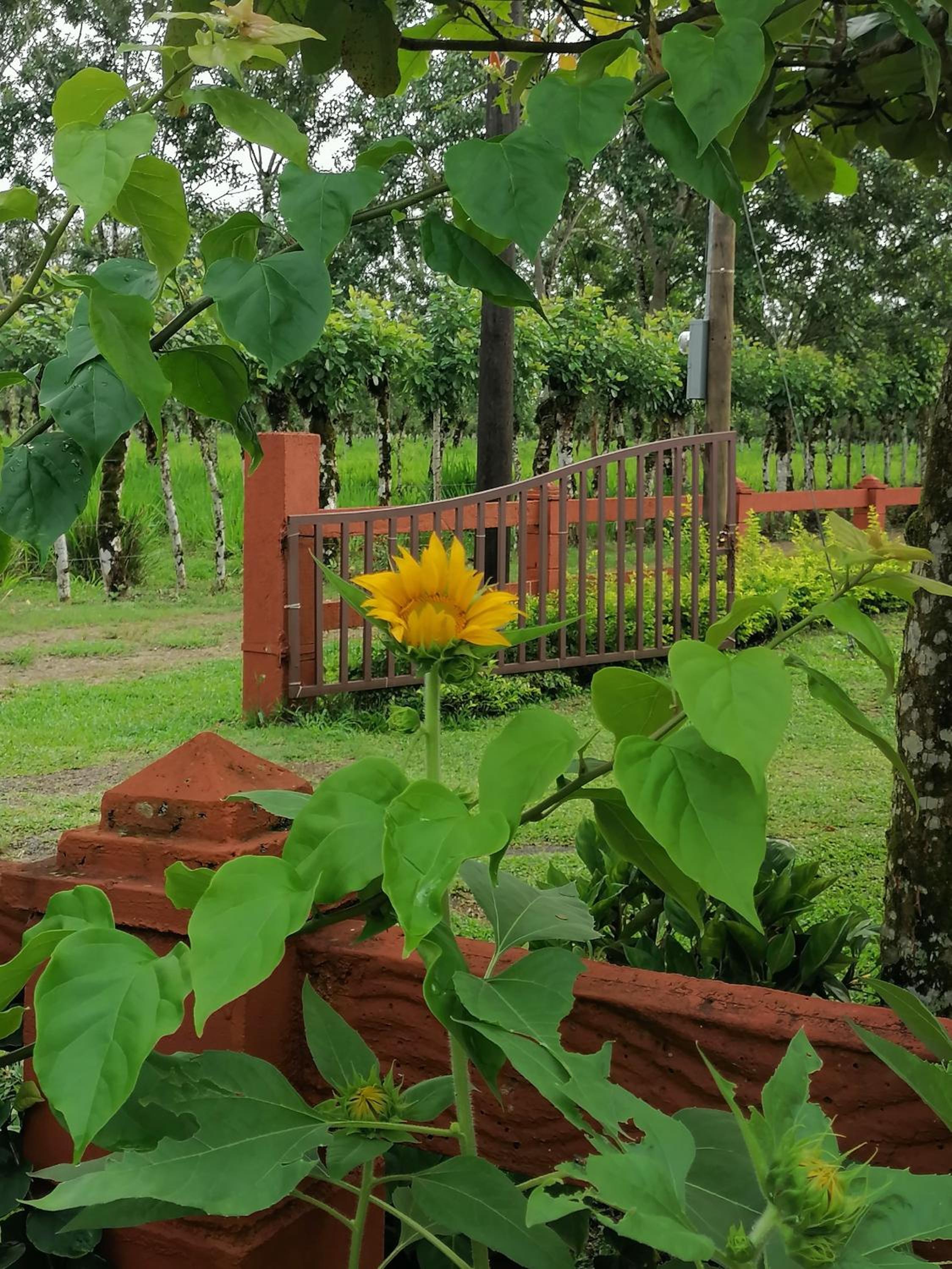 Villa Malinche cerca de Fortuna con parqueo gratis