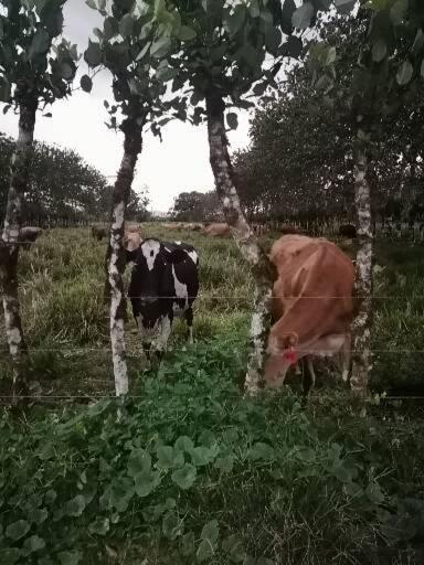 Villa Malinche cerca de Fortuna con parqueo gratis