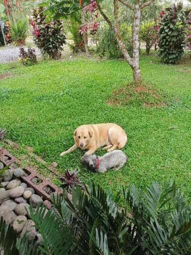 Villa Malinche cerca de Fortuna con parqueo gratis