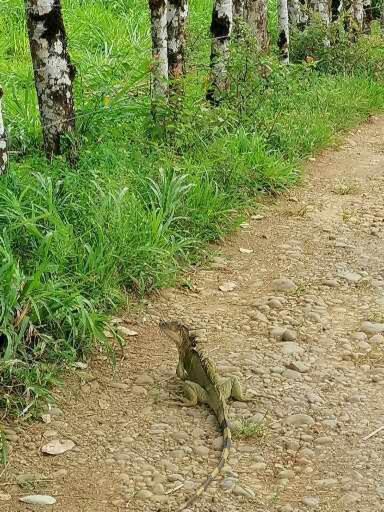 Villa Malinche cerca de Fortuna con parqueo gratis