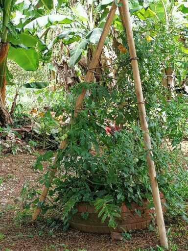 Villa Malinche cerca de Fortuna con parqueo gratis