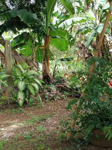 Villa Malinche cerca de Fortuna con parqueo gratis