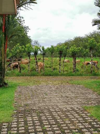 Villa Malinche cerca de Fortuna con parqueo gratis