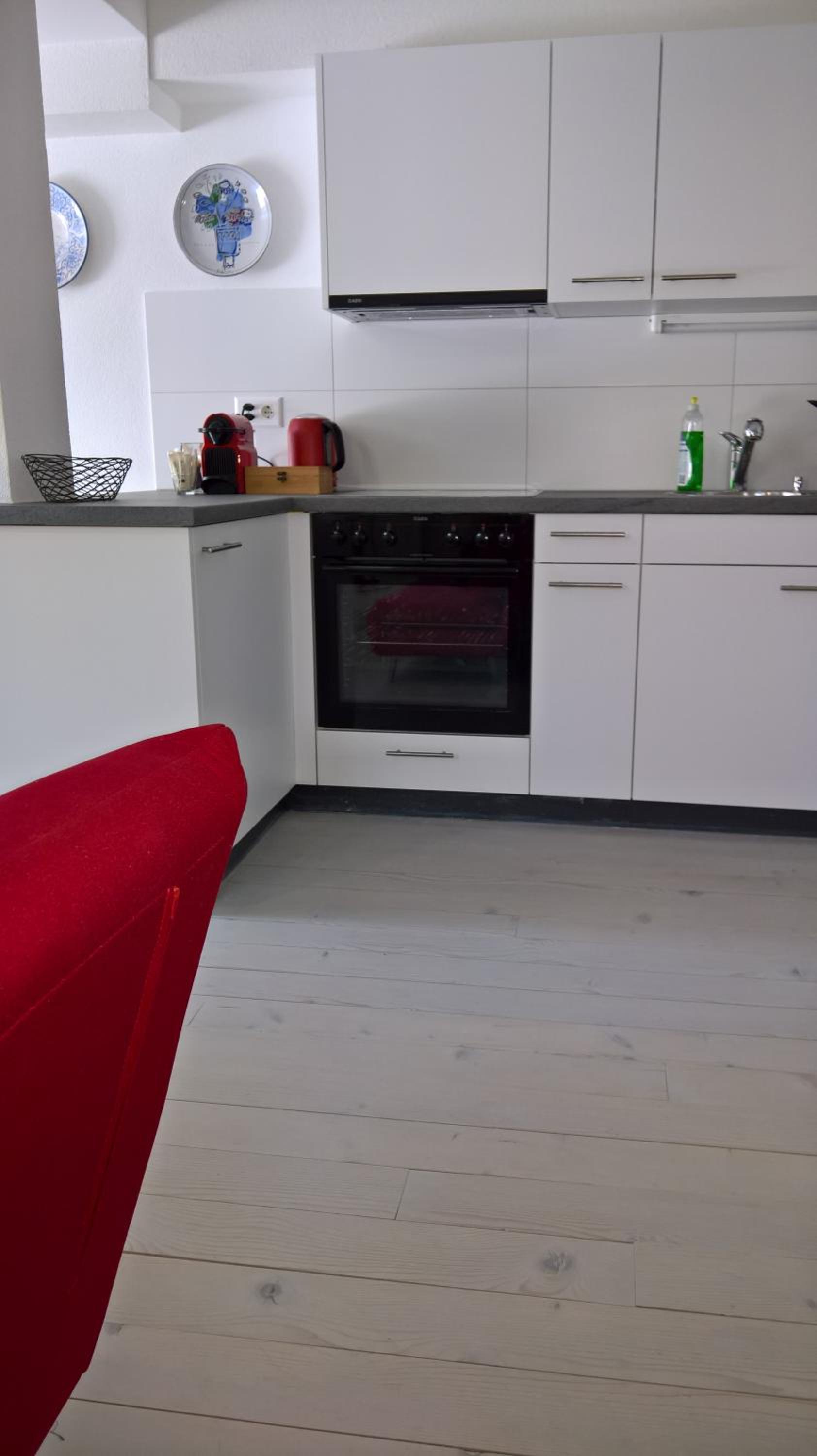 Swiss Borzoi House