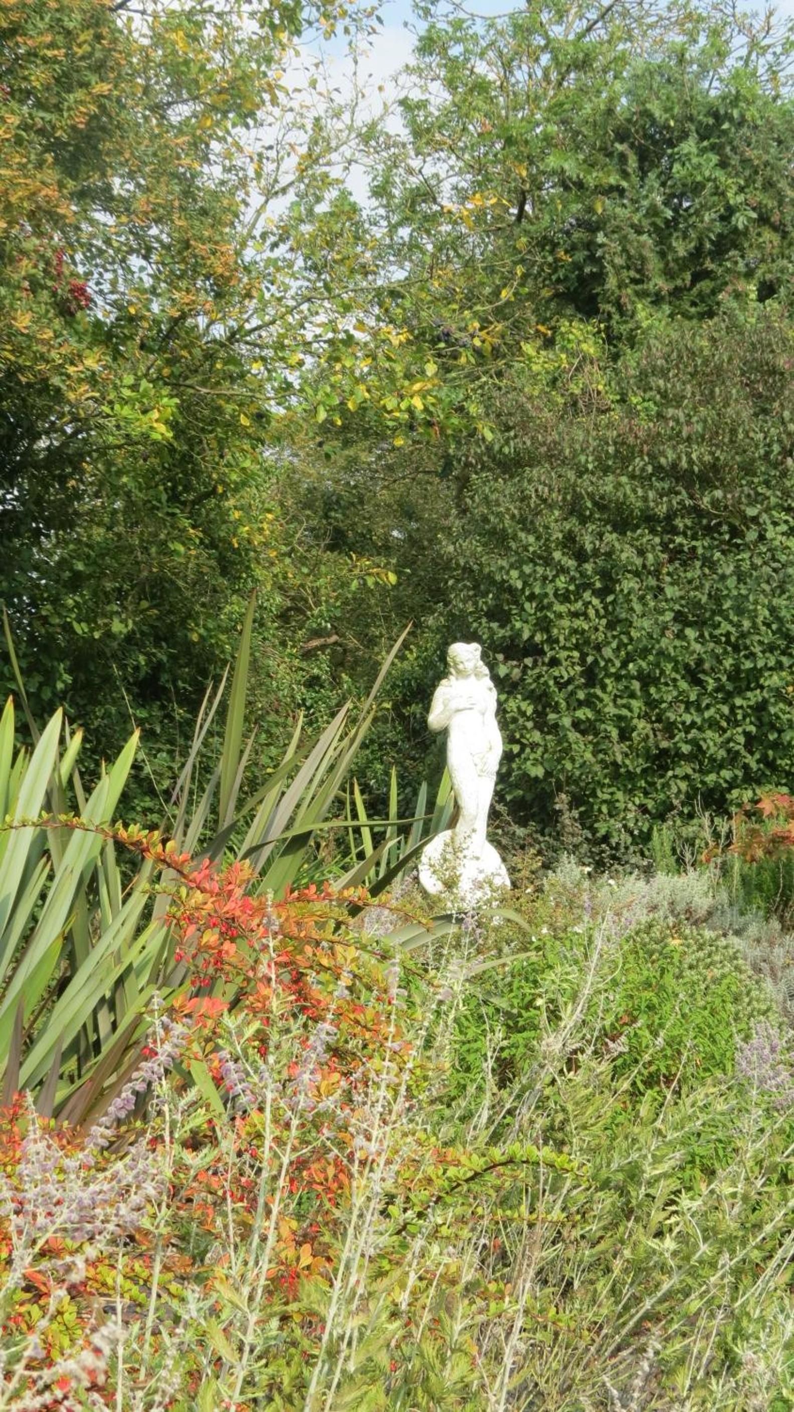 Photo 41
