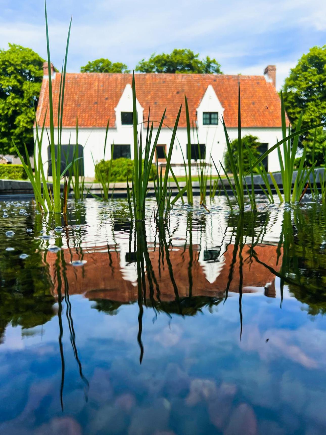 Weynhoven