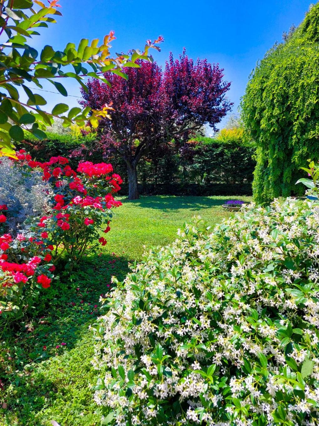Il Casale photo 5