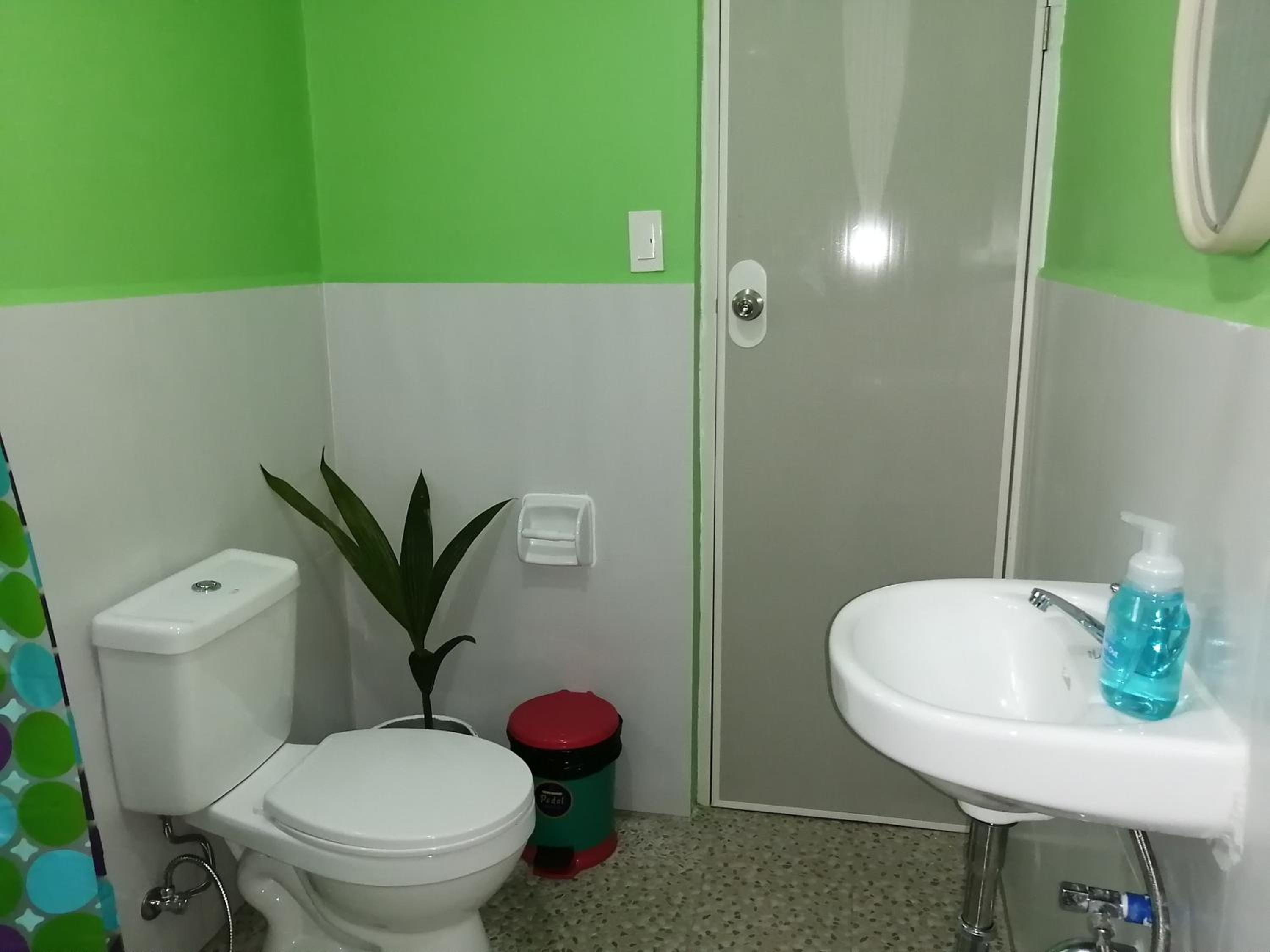 Photo 12