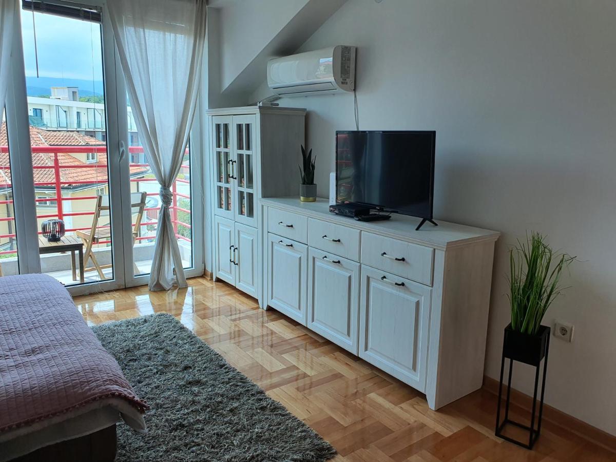 Le Soleil Apartment Vrnjačka Banja - main view