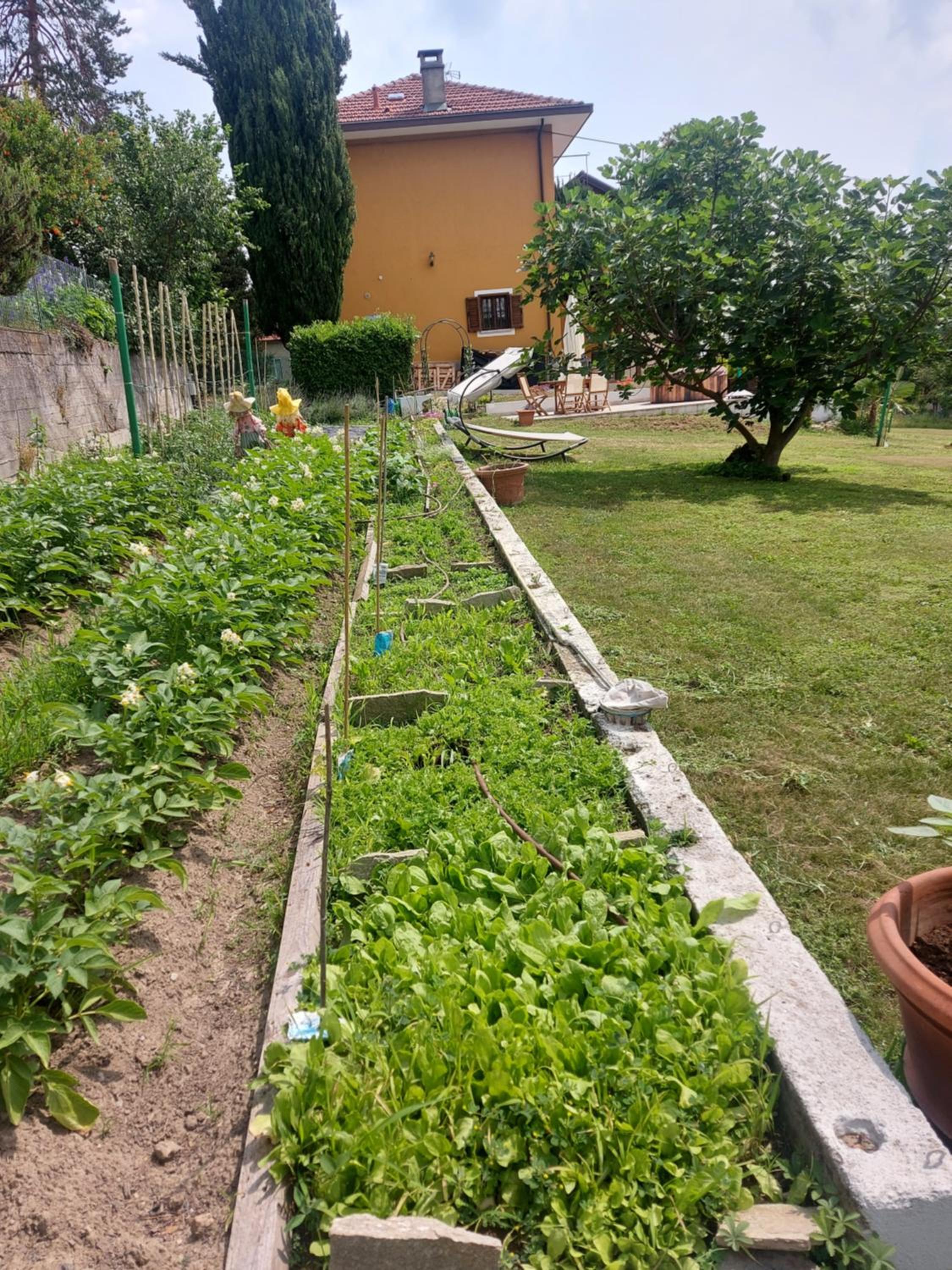 Casa dell'Agrifoglio