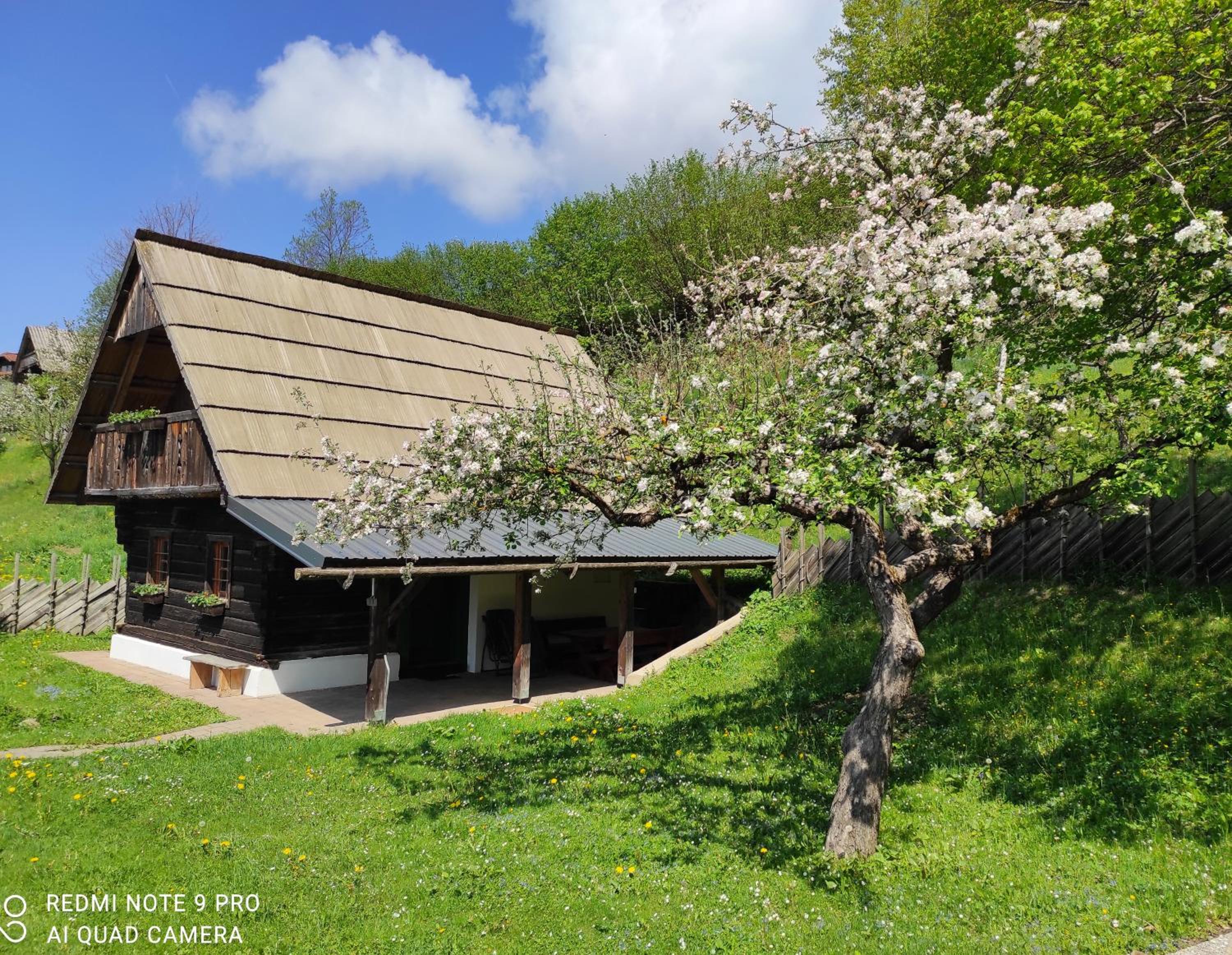 Eco tourist farm Mikl view 5