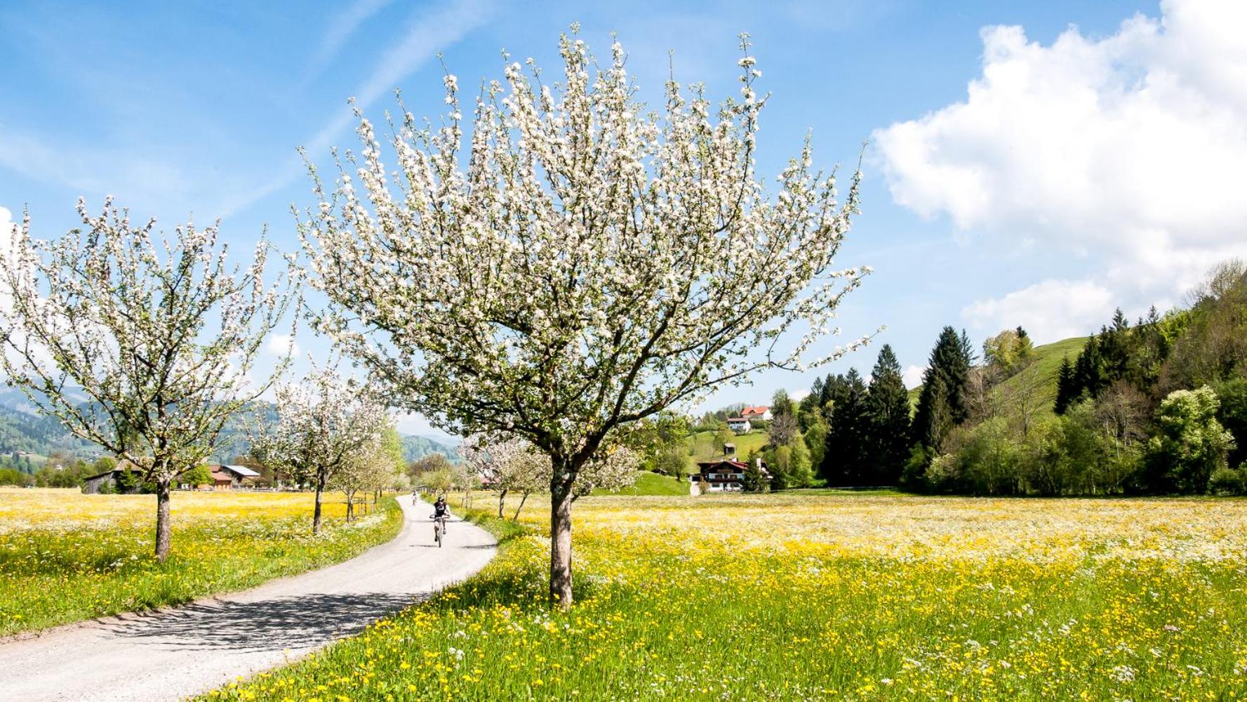 Haus am Teich - Fewo Relax mit Bergbahn Unlimited