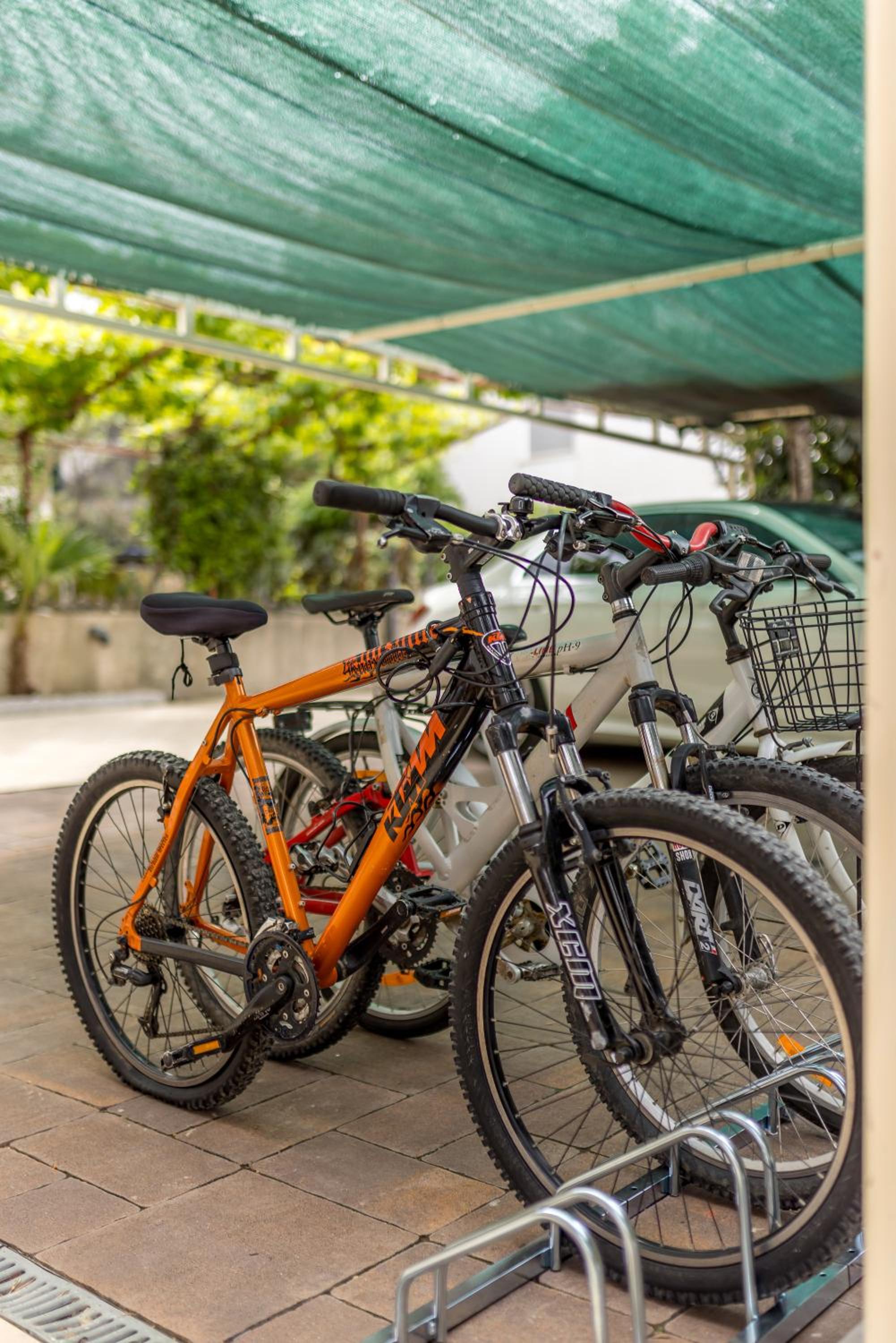 activities & amenities