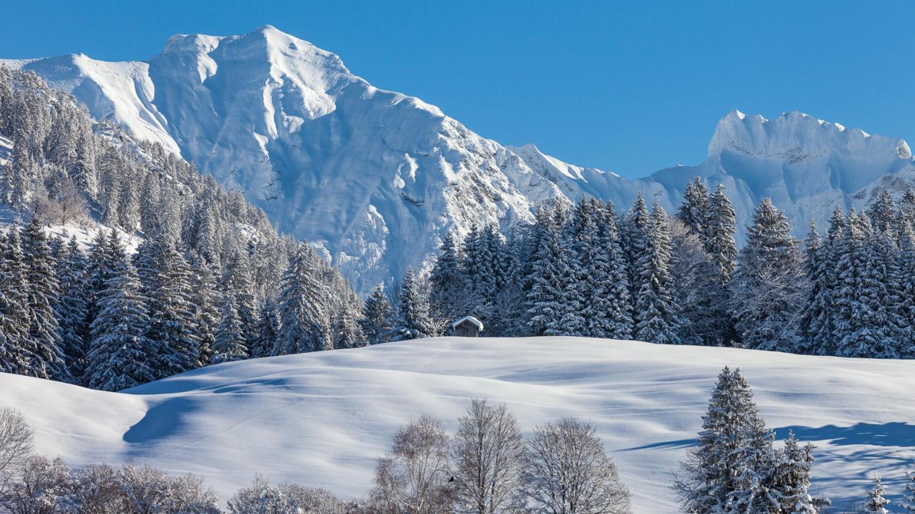 Haus am Teich - Fewo Relax mit Bergbahn Unlimited