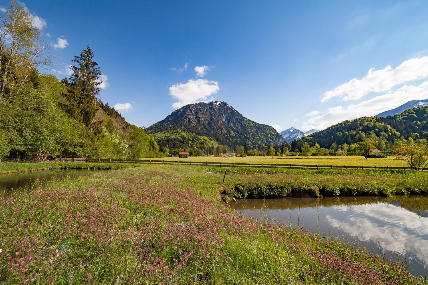 Haus am Teich - Fewo Relax mit Bergbahn Unlimited