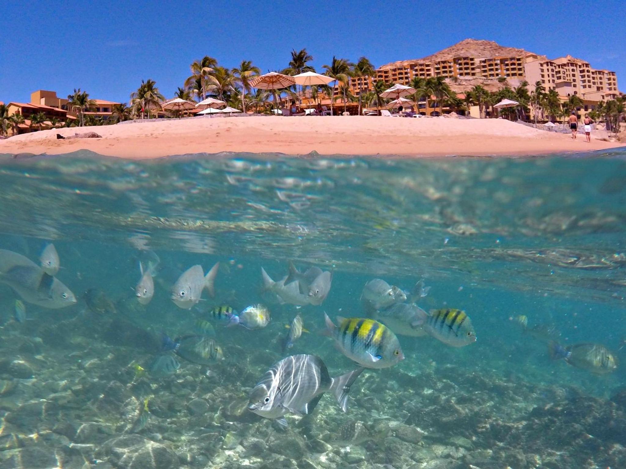 Los Cabos Vacations - Grand Fiesta Americana Los Cabos All Inclusive Golf  Spa - Property Image 73