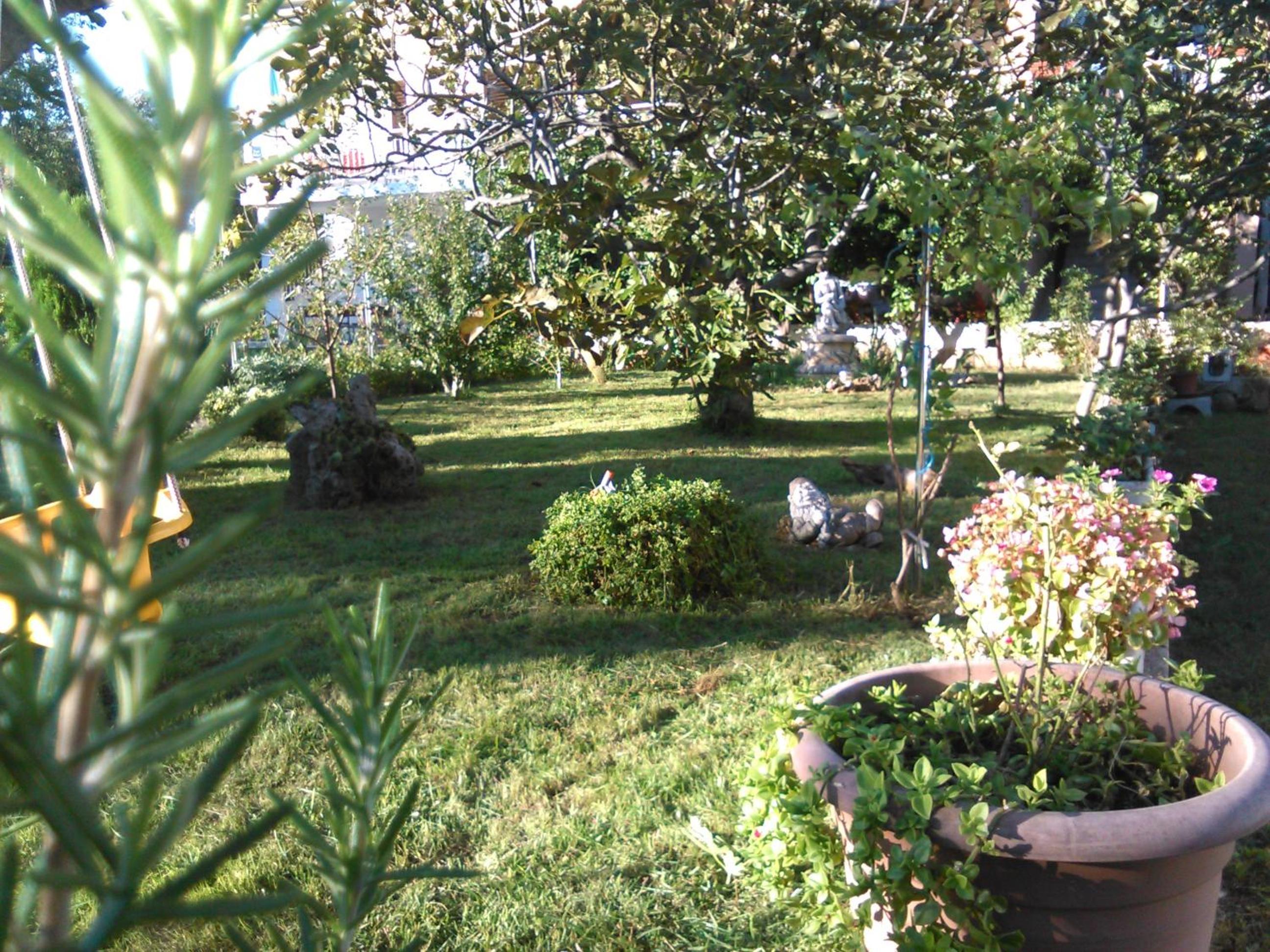 Photo 50