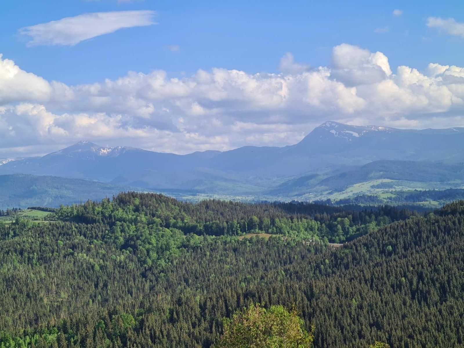 Girs'kyy Podorozhnyk