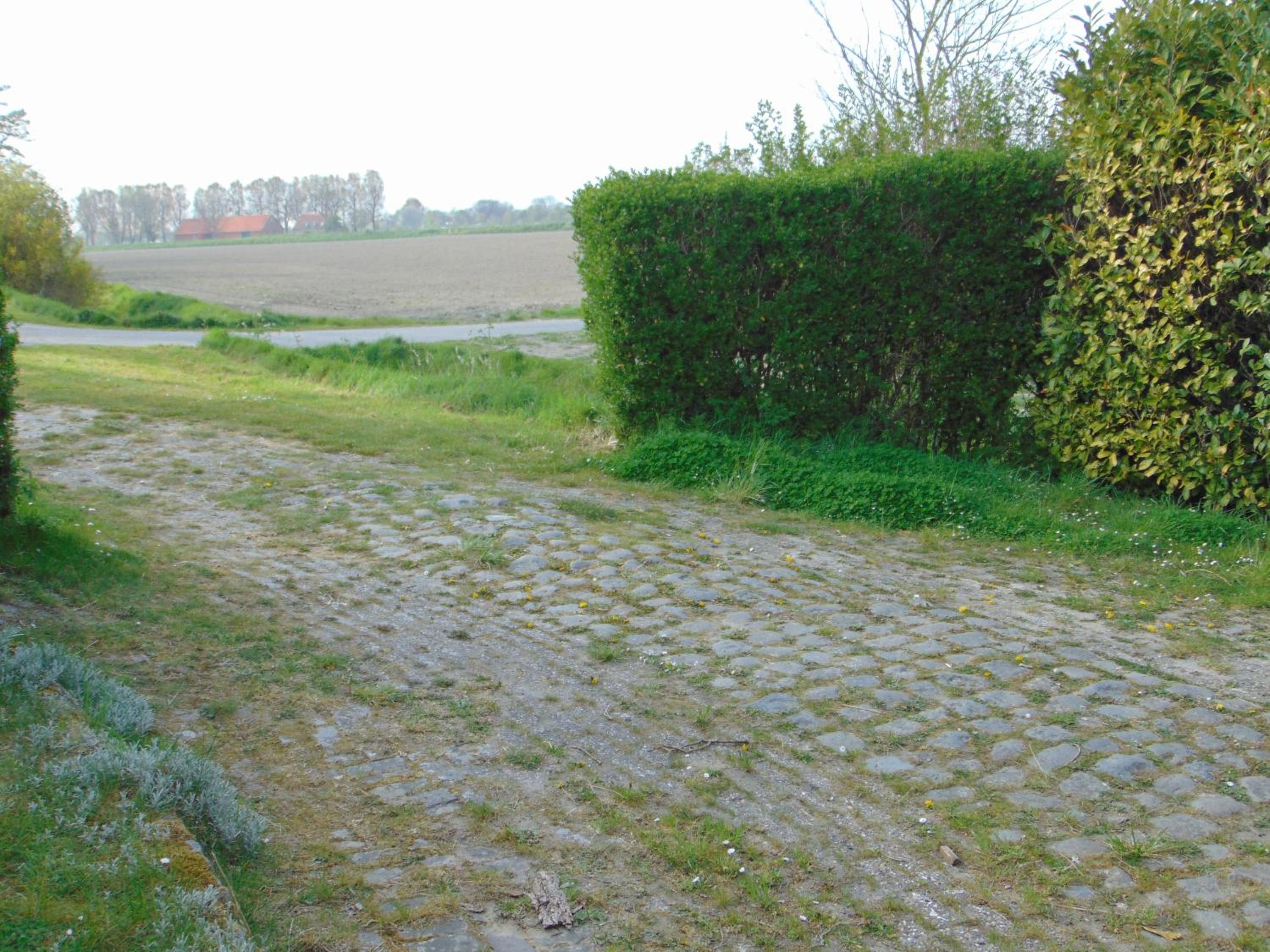 Photo 44