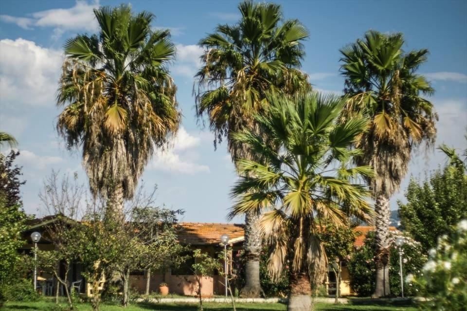 Tortuga Casa Vacanze