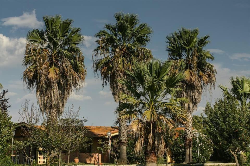 Tortuga Casa Vacanze