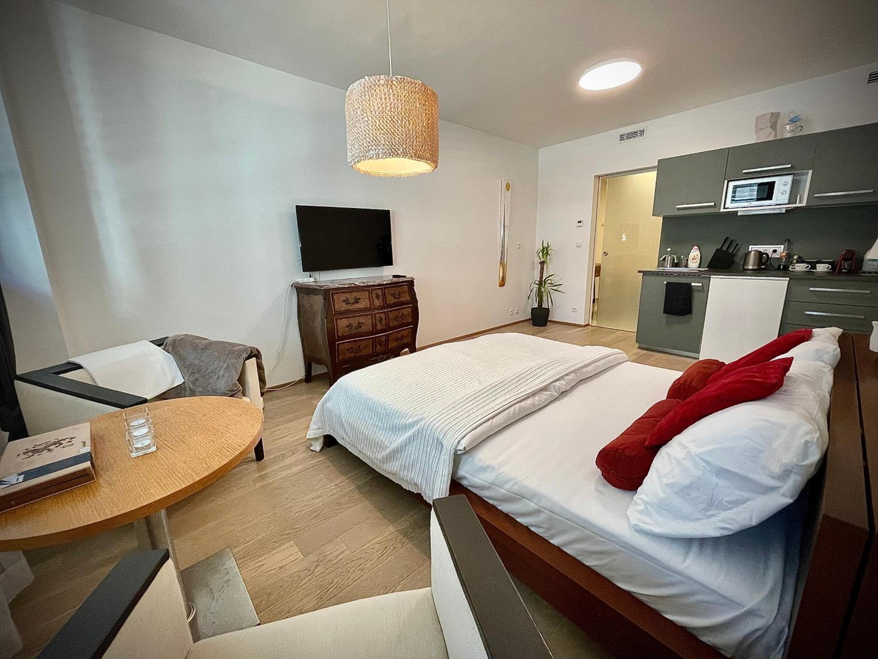 Harfa Apartment 30
