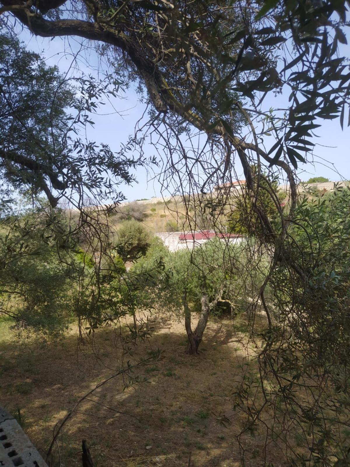 Photo 36