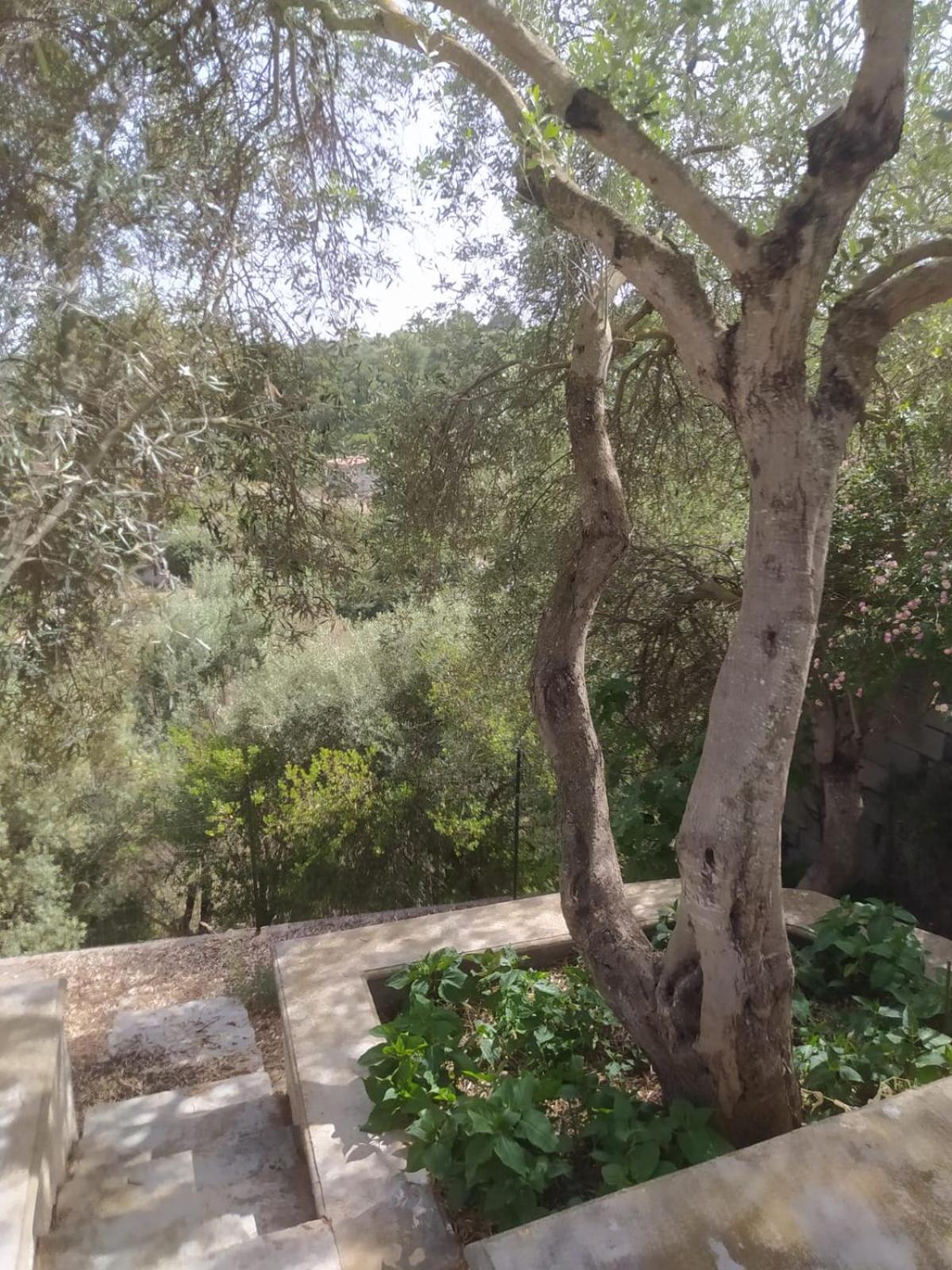 Photo 37