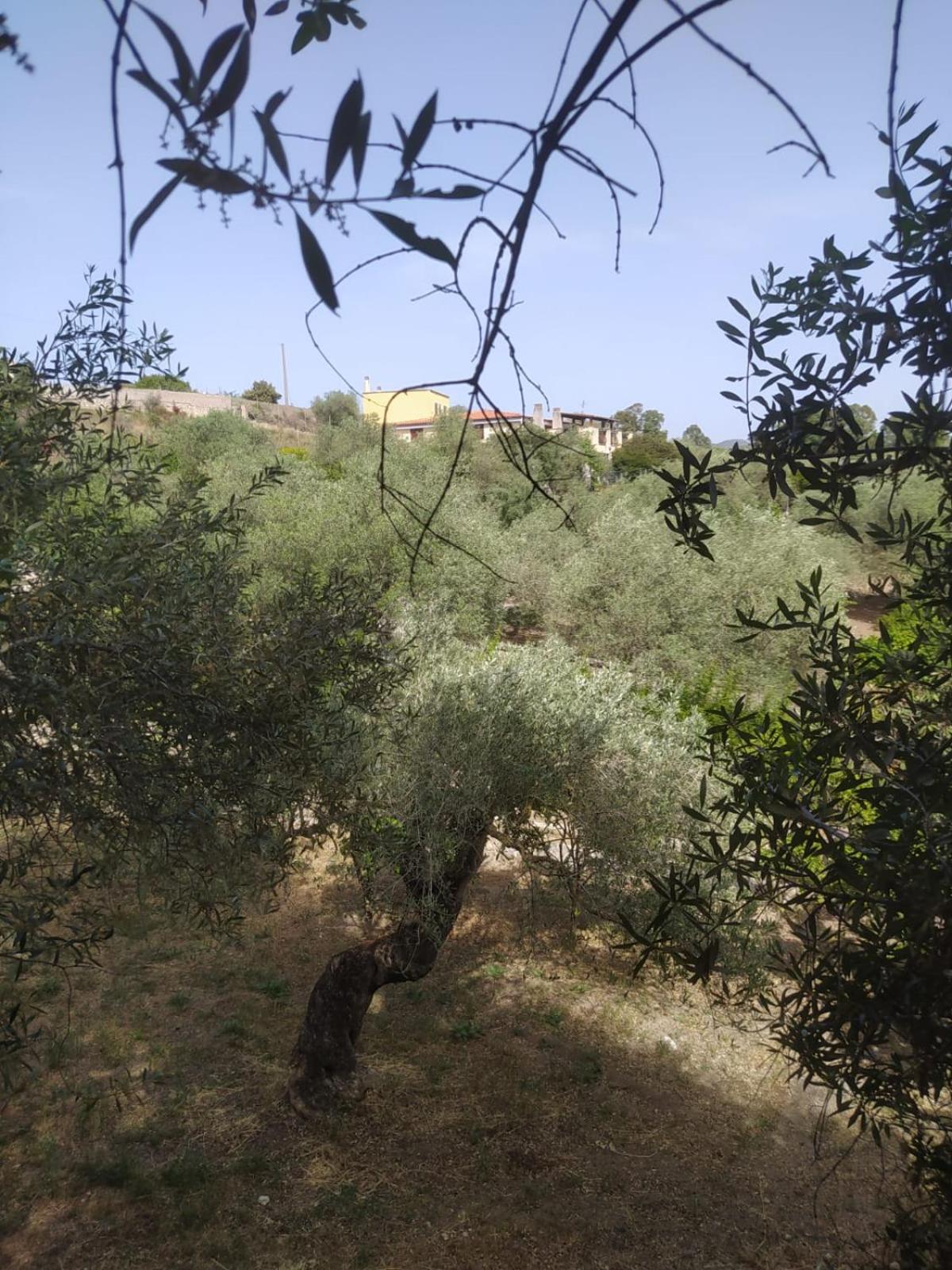 Photo 45