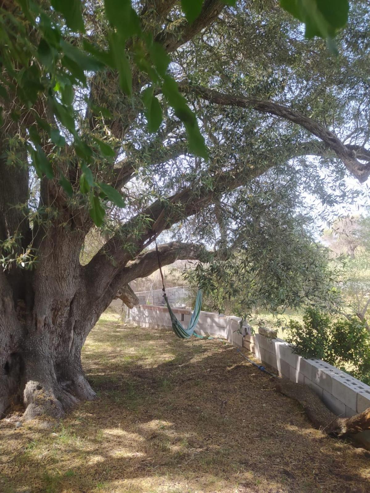 Photo 41