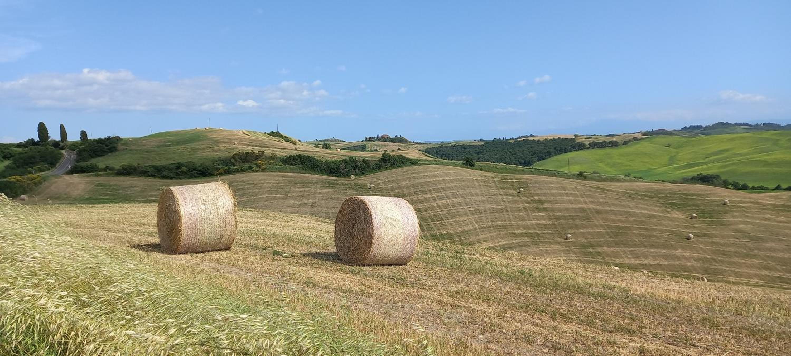 -Casina Vitty- view 4