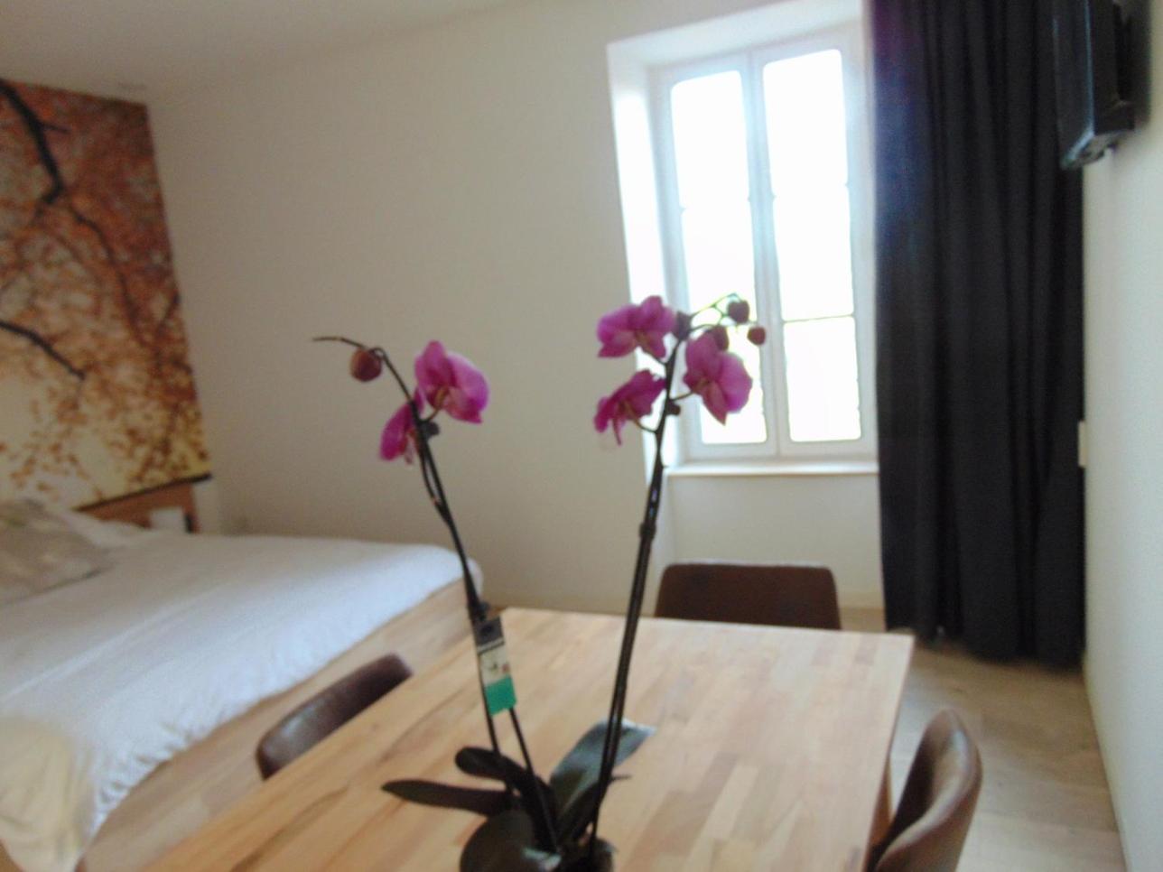 Relais de la Diligence view 2