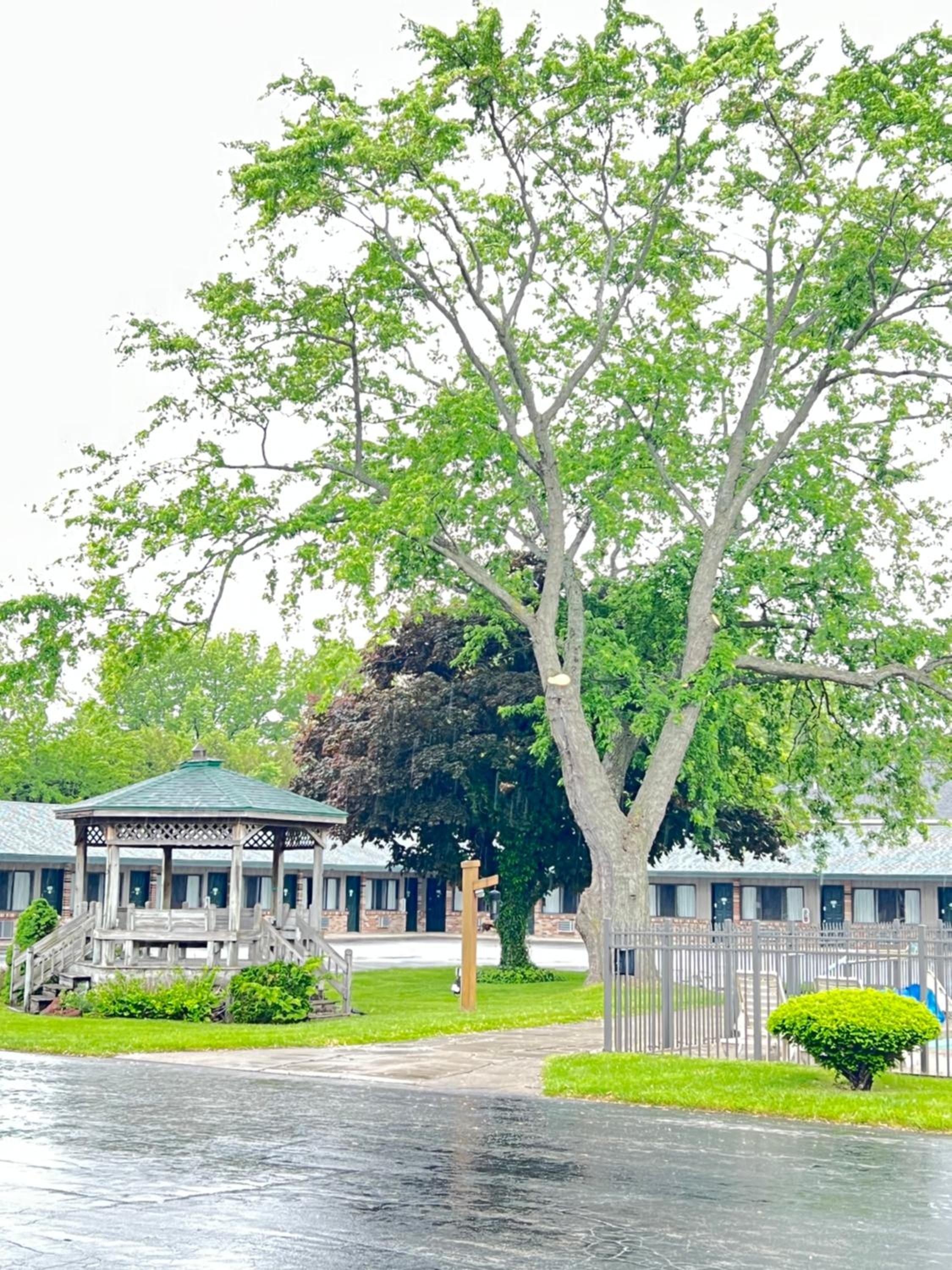 Viking Arms Inn - Ludington