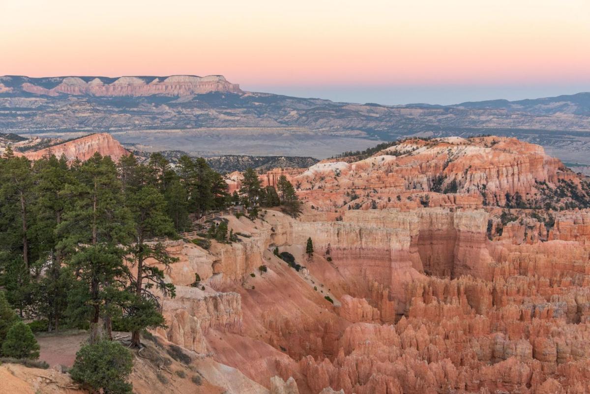 Ofland Escalante 5