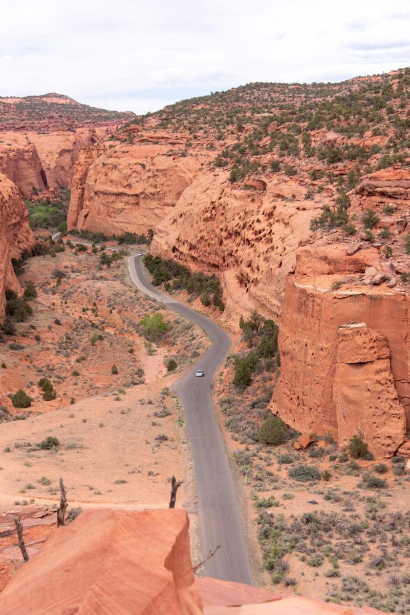 Ofland Escalante 6