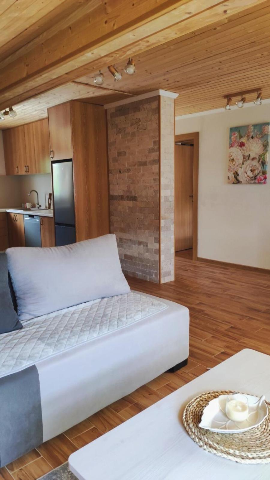 Apartment Dušan