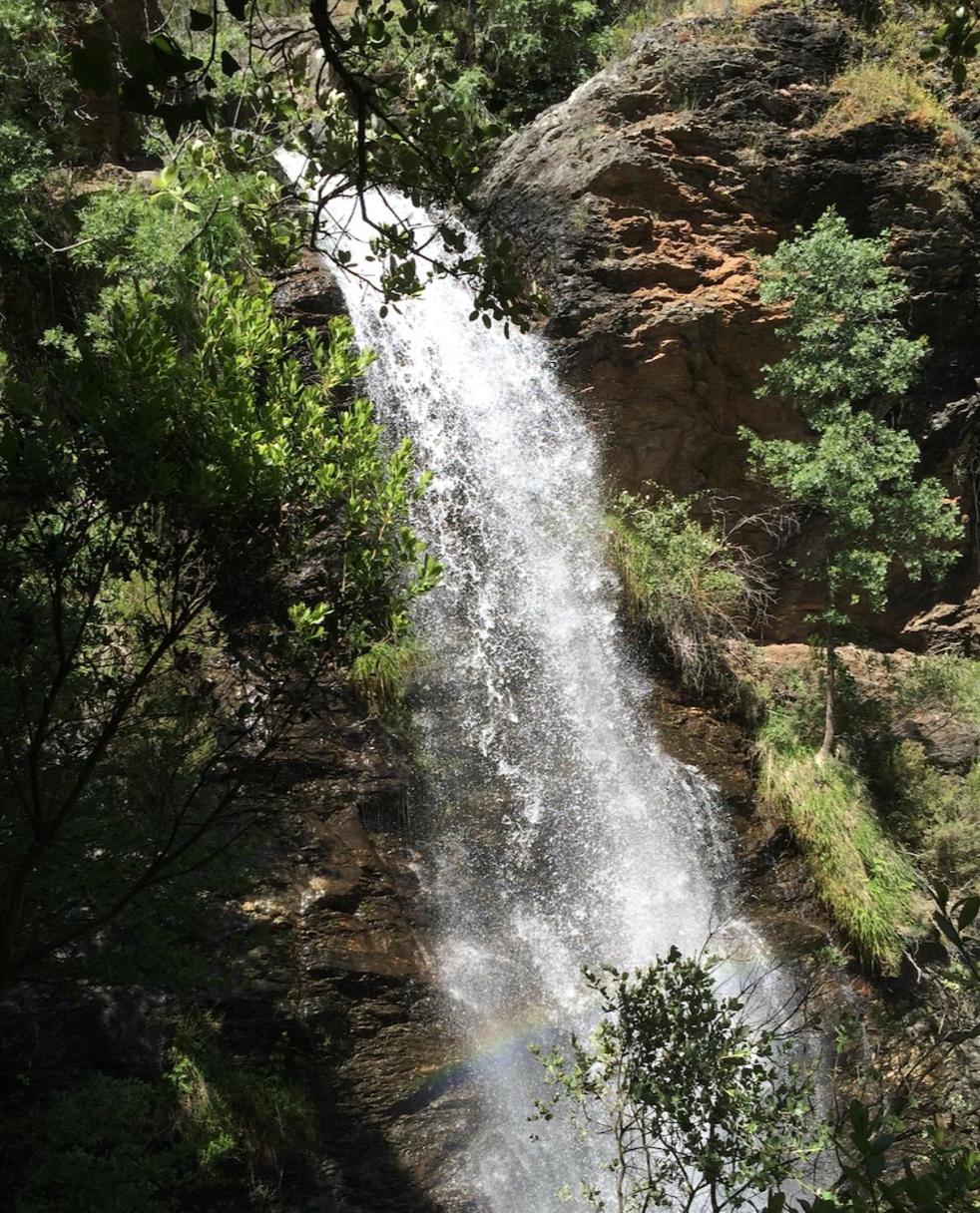 Photo 24