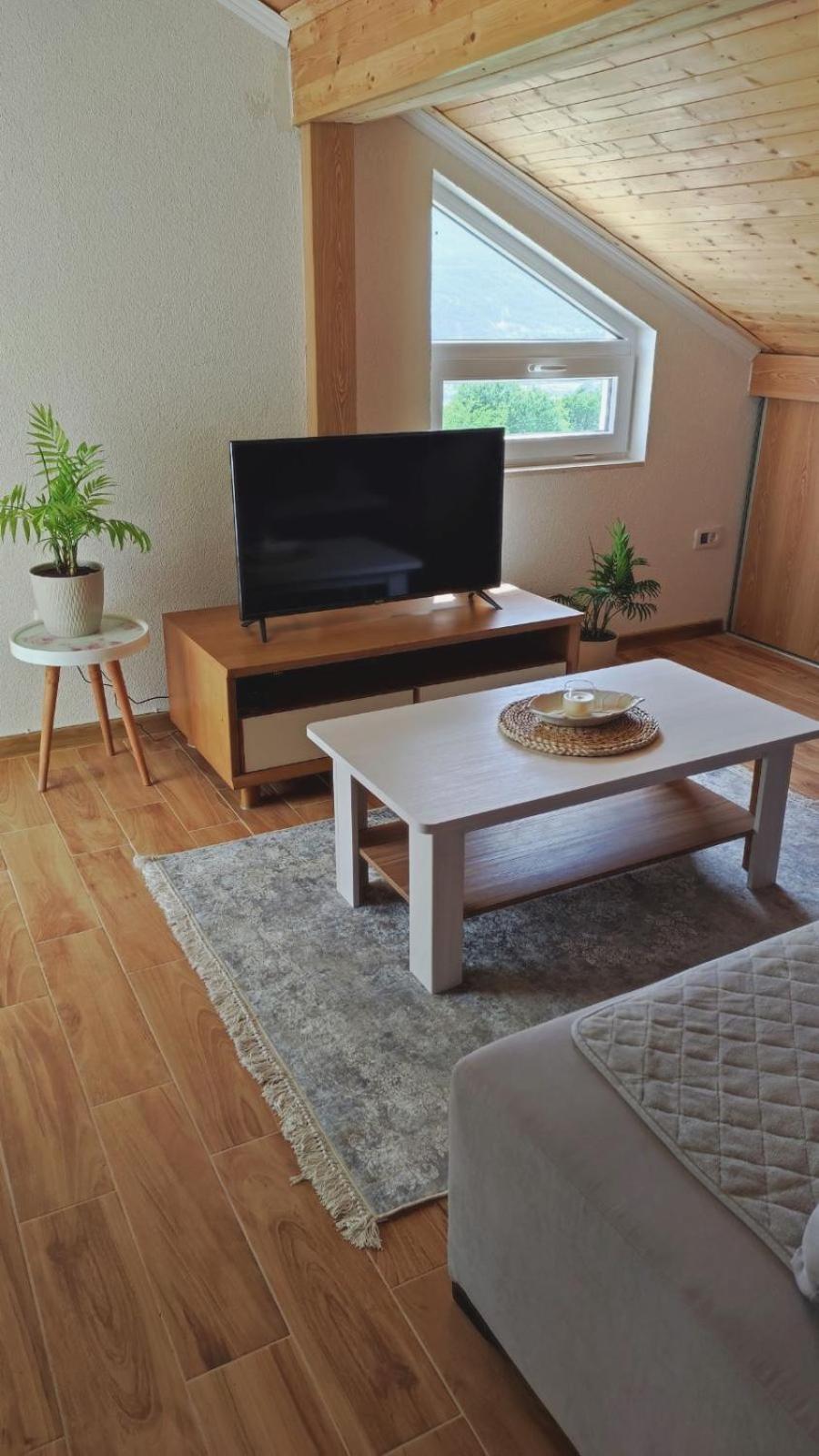 Apartment Dušan