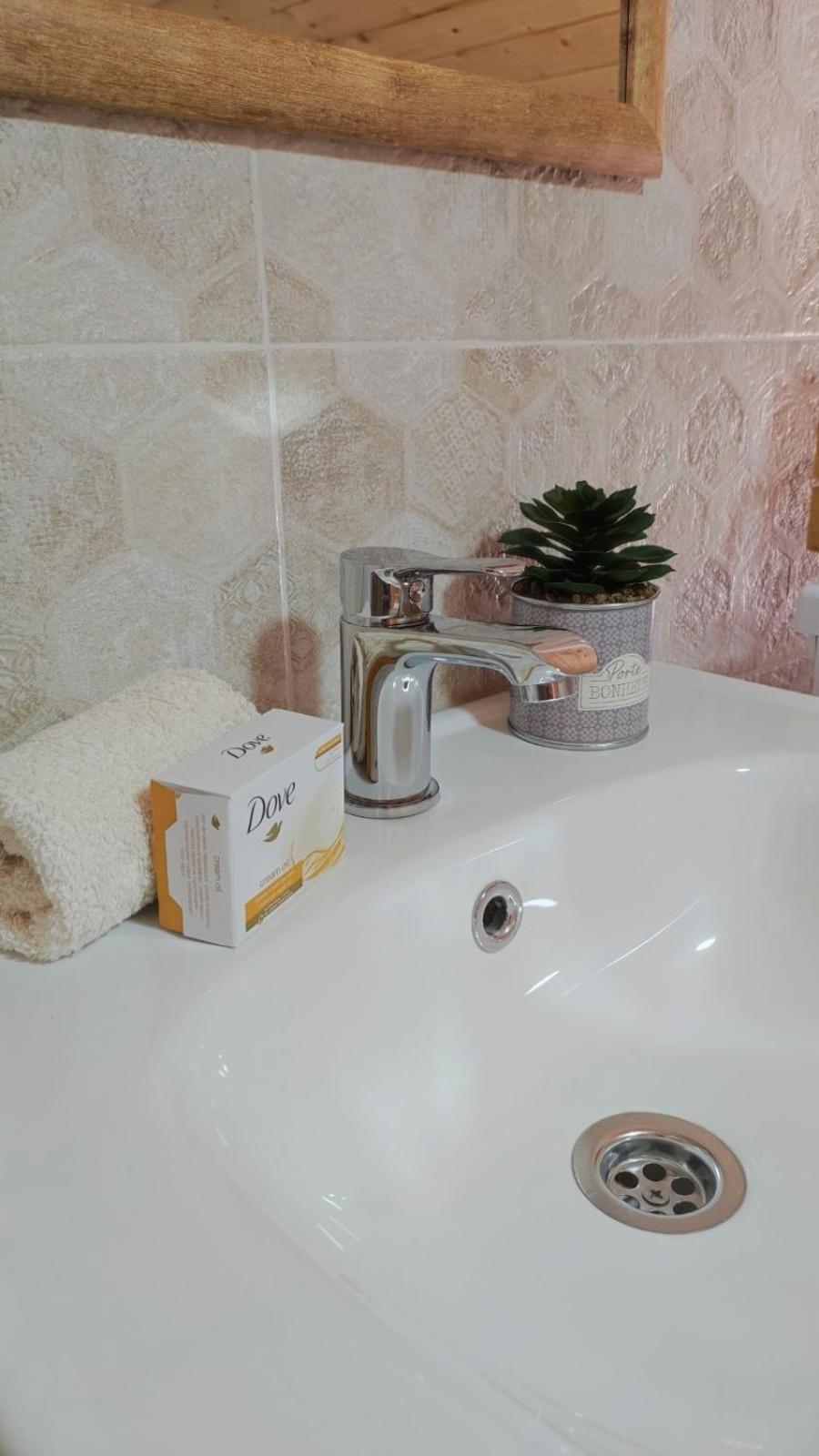Apartment Dušan