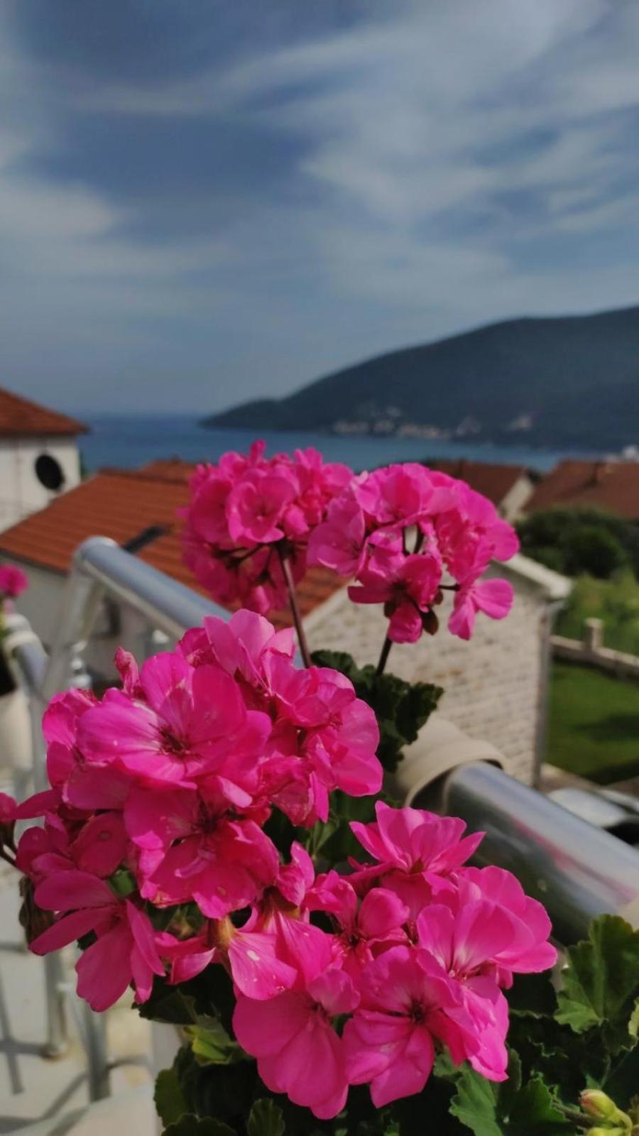 Apartment Dušan
