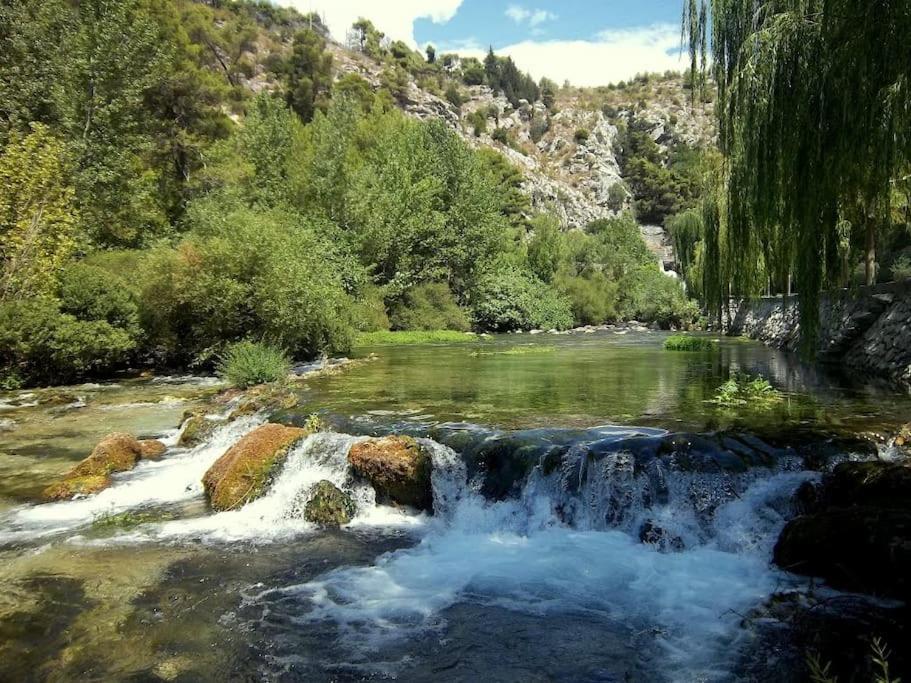 Photo 12