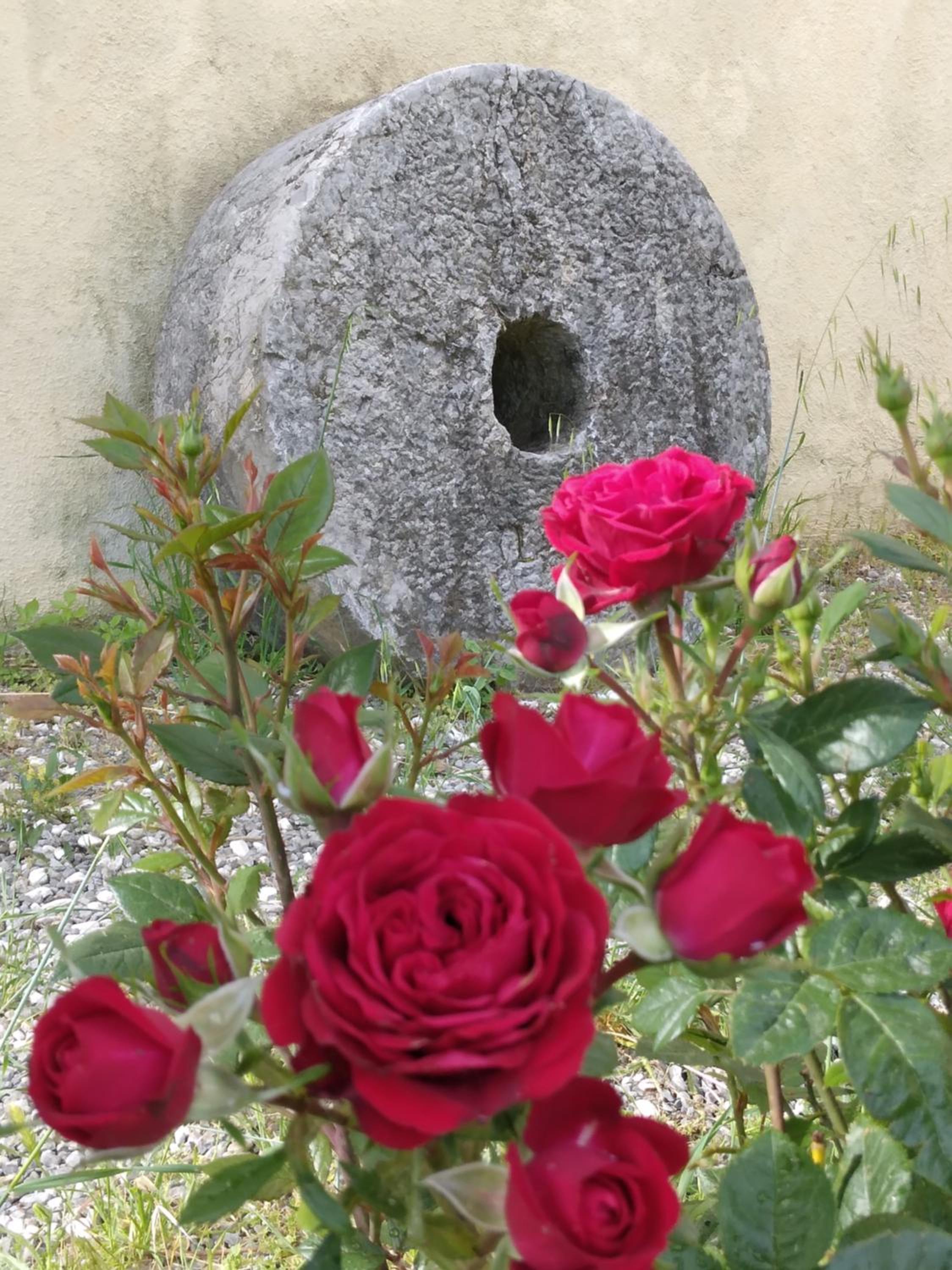 Il Giardino di Julia B&B