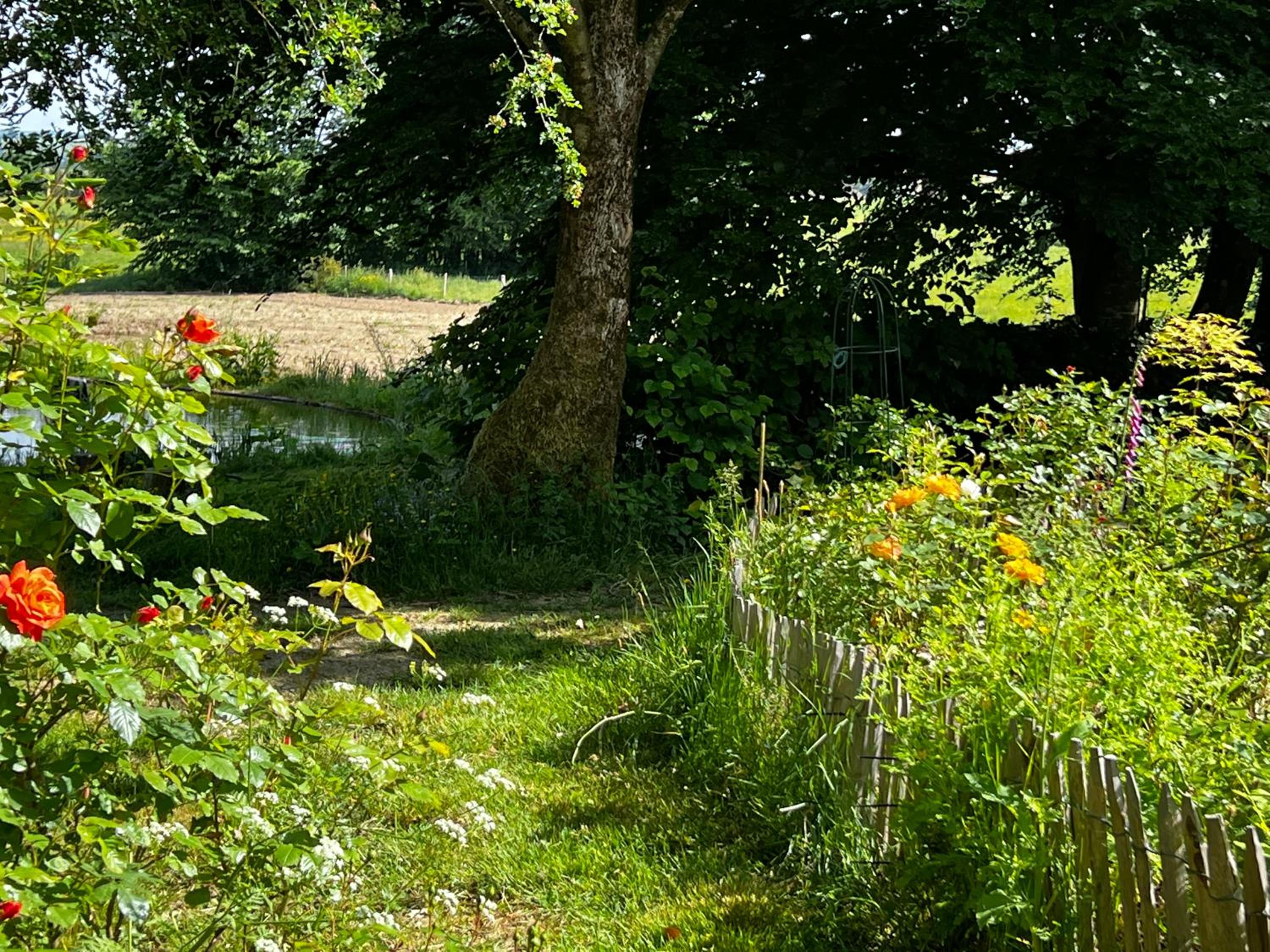 Maison d'hôtes Le Charme du Champs Claire