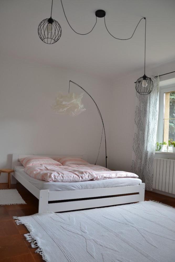 Apartmán pod Kosířem view 4